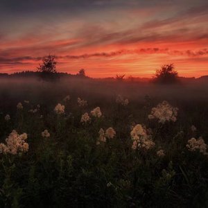 汤唯被操的视频
